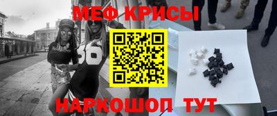 jwh Кингисепп