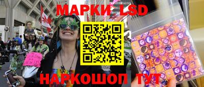jwh Кингисепп