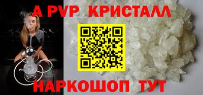 jwh Кингисепп