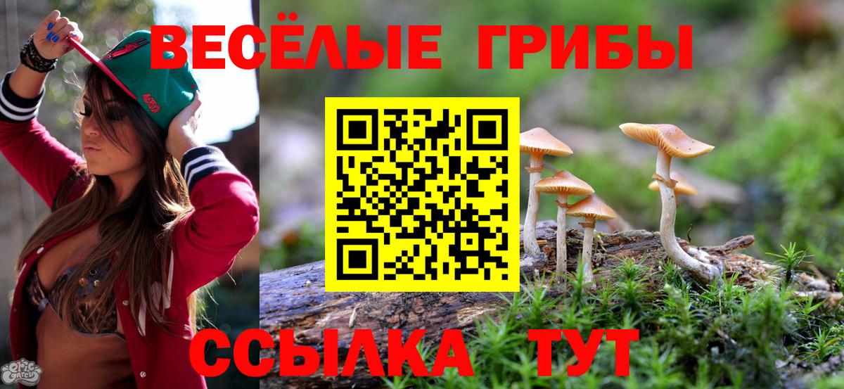 Королёв  Галлюциногенные грибы MAGIC MUSHROOMS  Вход с VPN 