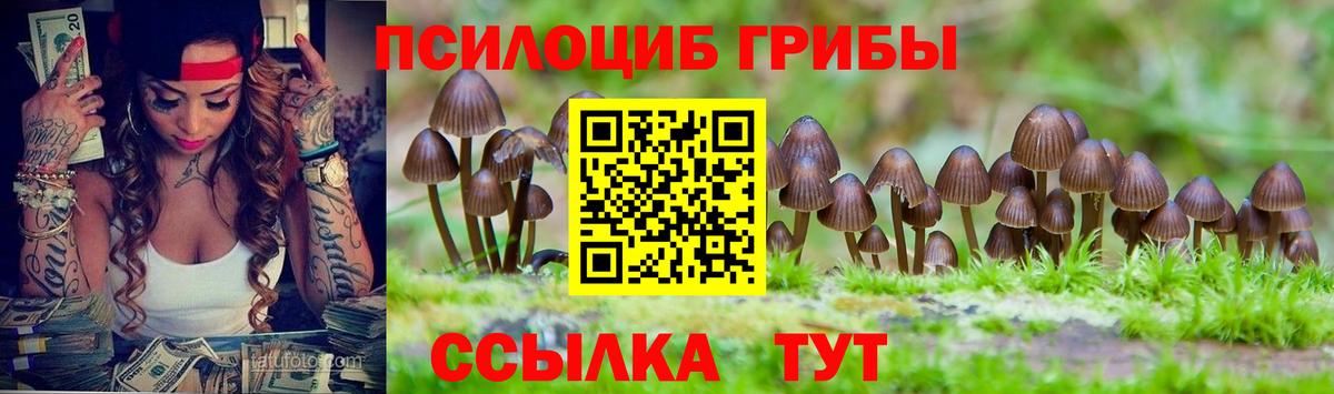 Псилоцибиновые грибы Psilocybe Королёв